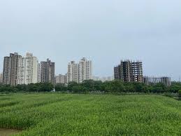 आप दिल्ली-एनसीआर में प्लॉट खरीदने की सोच रहे हैं तो आपके लिए अच्छा मौका है