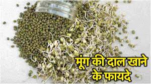 शाकाहारियों के लिए ‘प्रोटीन की खान’ है हरी मूंग की दाल